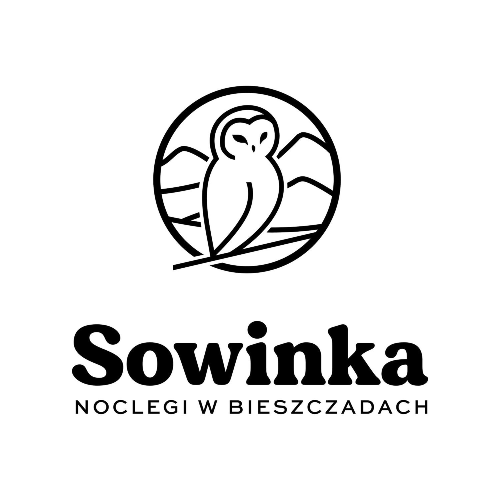 Willa Sowinka Lutowiska Zewnętrze zdjęcie