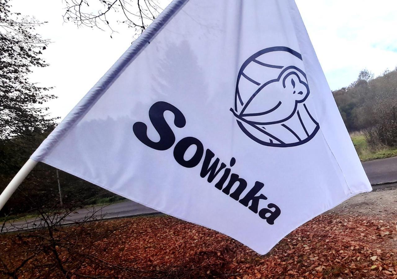 Willa Sowinka Lutowiska Zewnętrze zdjęcie